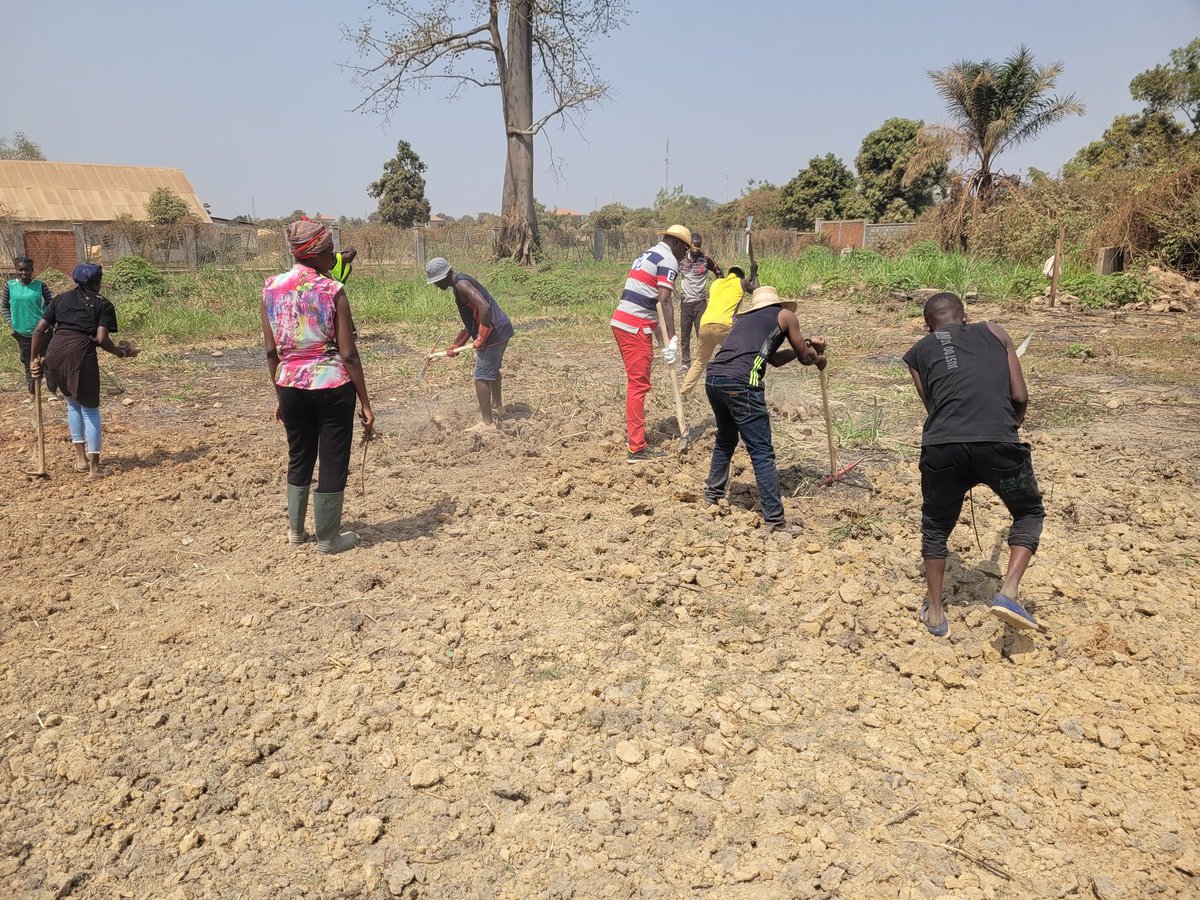 Yerimabanga's tweet image. @IsaacUcac #UCAC Ils sont vraiment décidés de révolutionner l'agriculture et de rendre à la terre ses lettres de noblesse en la bichonnant. Même les 4 prêtres étudiants ne sont pas du reste. Félicitations aux étudiants de l'ISAAC. @UEDouglasCarp #FAO_RCA #AFD_BGF @FranceBangui