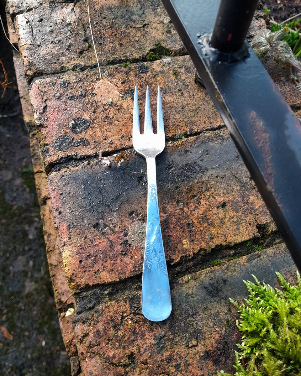misheleneous's tweet photo. Cooking Hell! Heidi says for Fork's Sake - its far too cold for alfresco breakfasting/dining in Prestwich, in February. And this particular shrimp ain't going on the barbie 🦐🍴#randomshit #saturdaykitchen #mhhsbd #btposse #barbeque #cookingongas https://t.co/vmySOeFMli