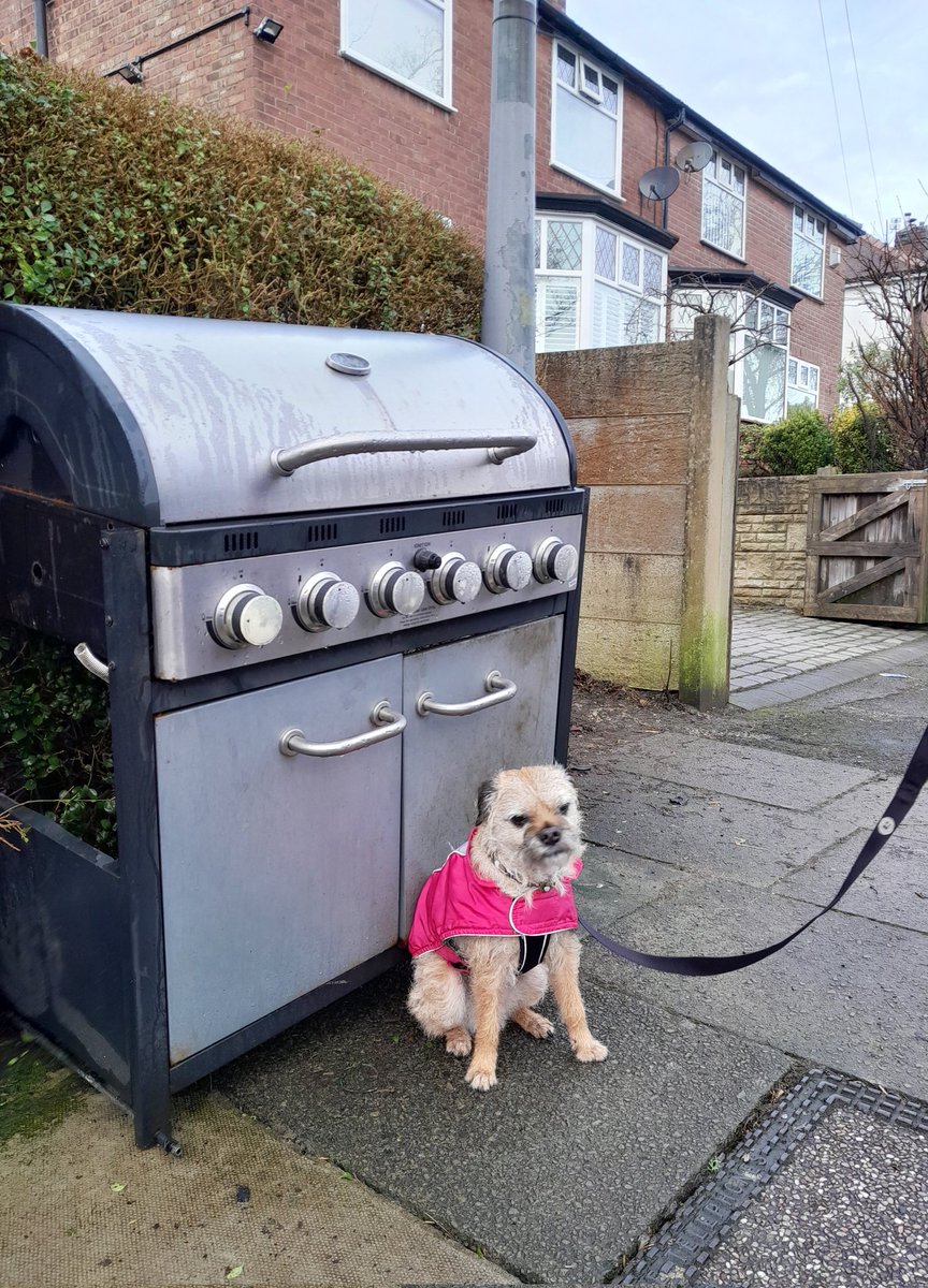 misheleneous's tweet photo. Cooking Hell! Heidi says for Fork's Sake - its far too cold for alfresco breakfasting/dining in Prestwich, in February. And this particular shrimp ain't going on the barbie 🦐🍴#randomshit #saturdaykitchen #mhhsbd #btposse #barbeque #cookingongas https://t.co/vmySOeFMli