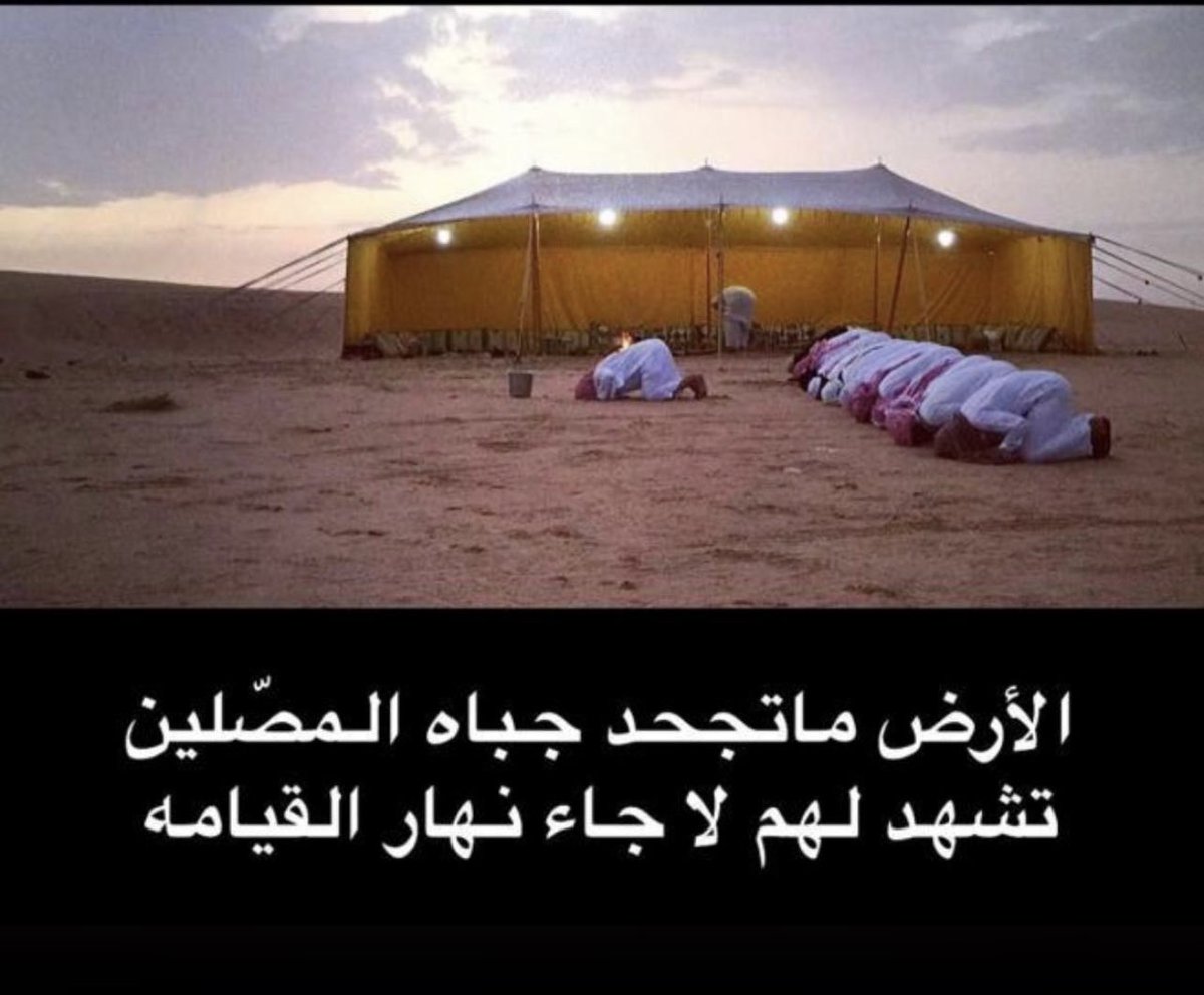 عايض الفهمي tweet media