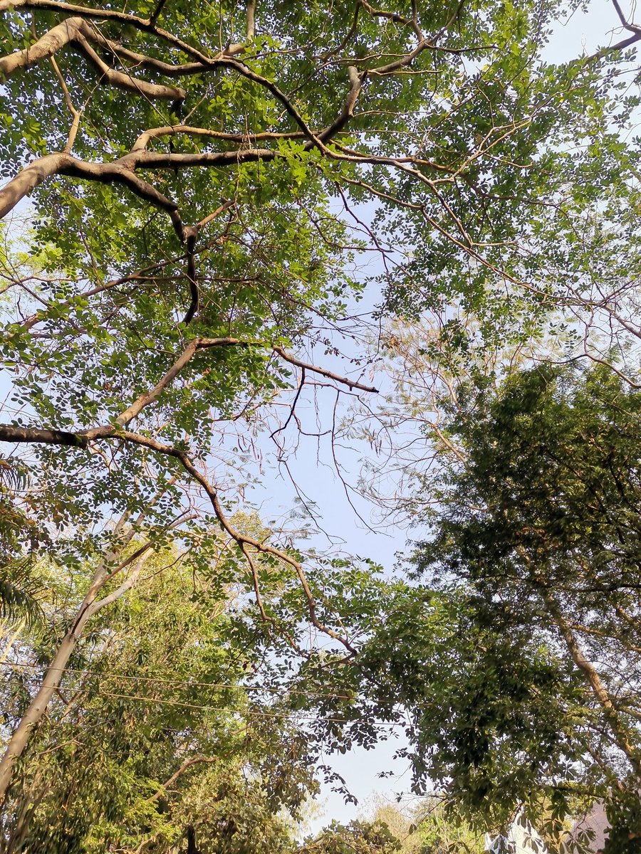 Mrtree254141's tweet photo. ปิดการใช้บัญชี นี้เรียบร้อยน่ะครับ 
🙏 #สุรินทร์ #สุรินทร์ในเมือง https://t.co/ztJH1uxY4Y