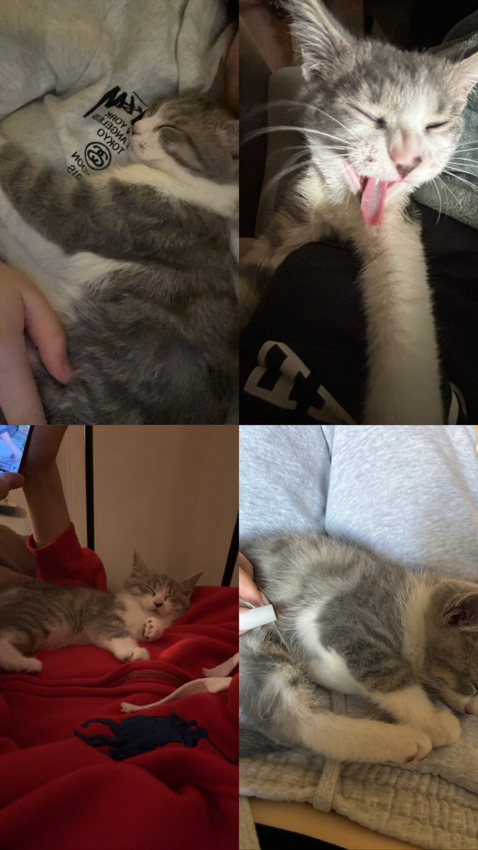 aszn00's tweet photo. long live love bubble❤️❤️❤️❤️ https://t.co/2sDyNvfFr7