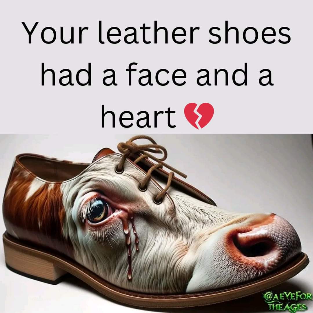 Dervilla(v) tweet media