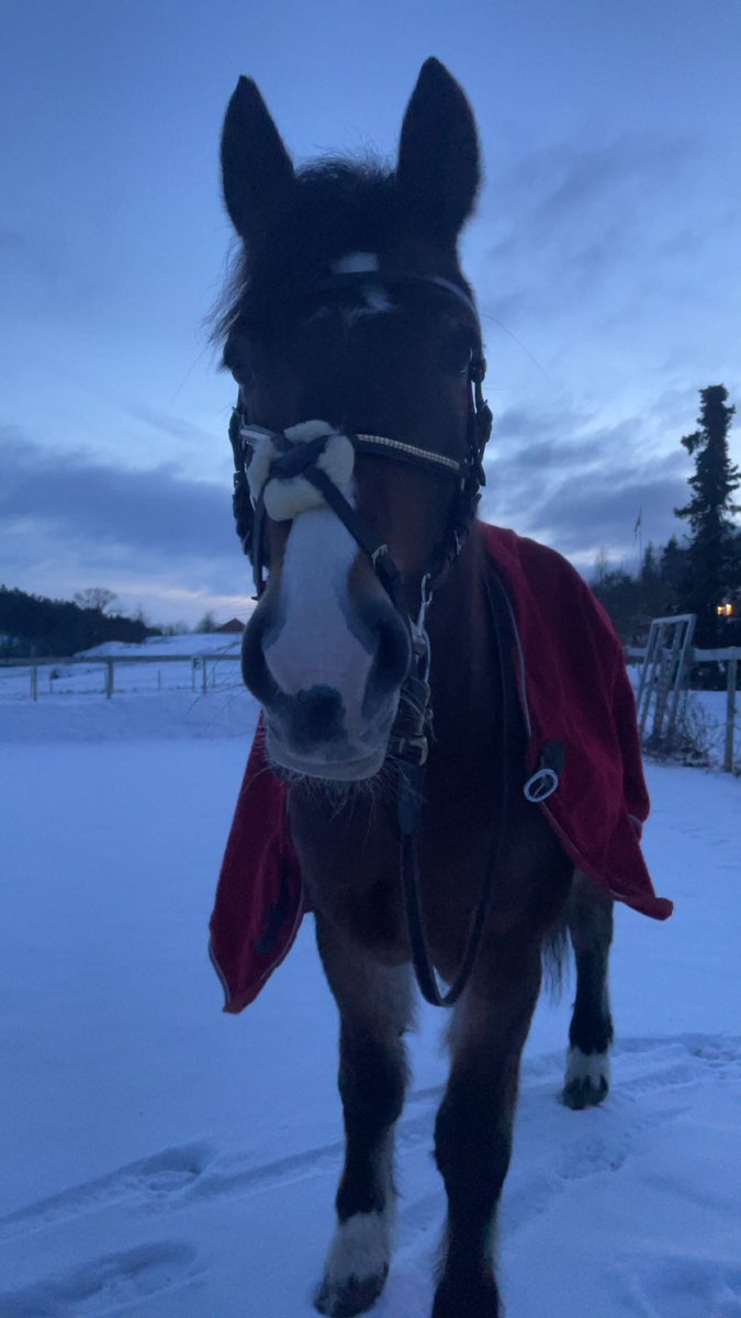 Julies1na's tweet photo. Handsome boy https://t.co/iK8Fflha1b
