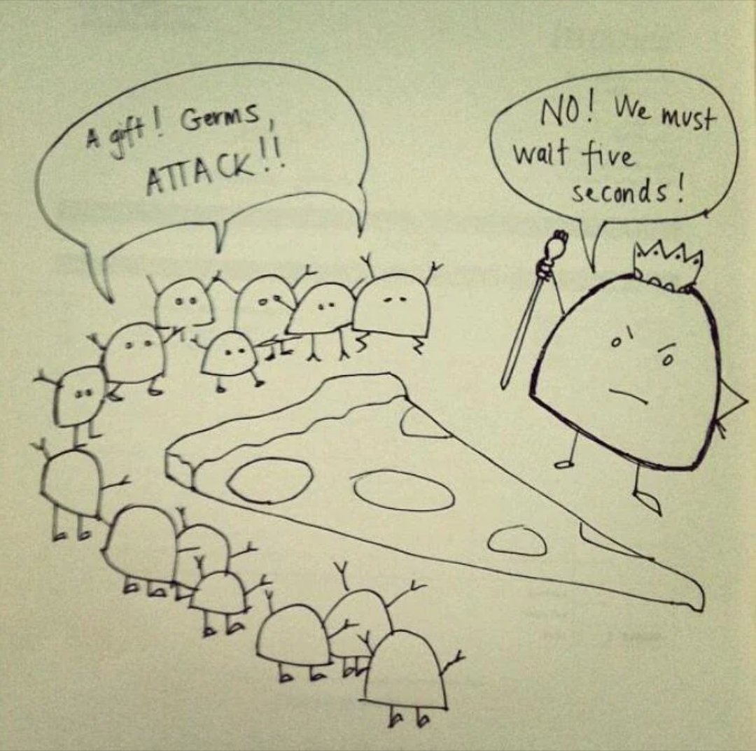sasskers's tweet photo. As my daughter dropped some of her waffle and shouted about the 5 second rule this morning I was reminded of this super representation of it from the germs perspective #5SecondRule #Germs https://t.co/bCmrJwuy3v