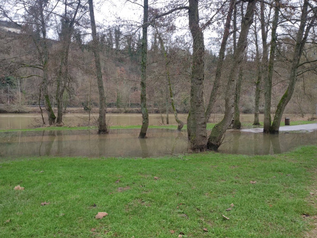 Vanessapref08's tweet photo. Petite sortie run 🏃🏃🏃solo 12km tranquille les pieds ds l'eau à @VilledeCMz #ardennes https://t.co/GY05akPxv7