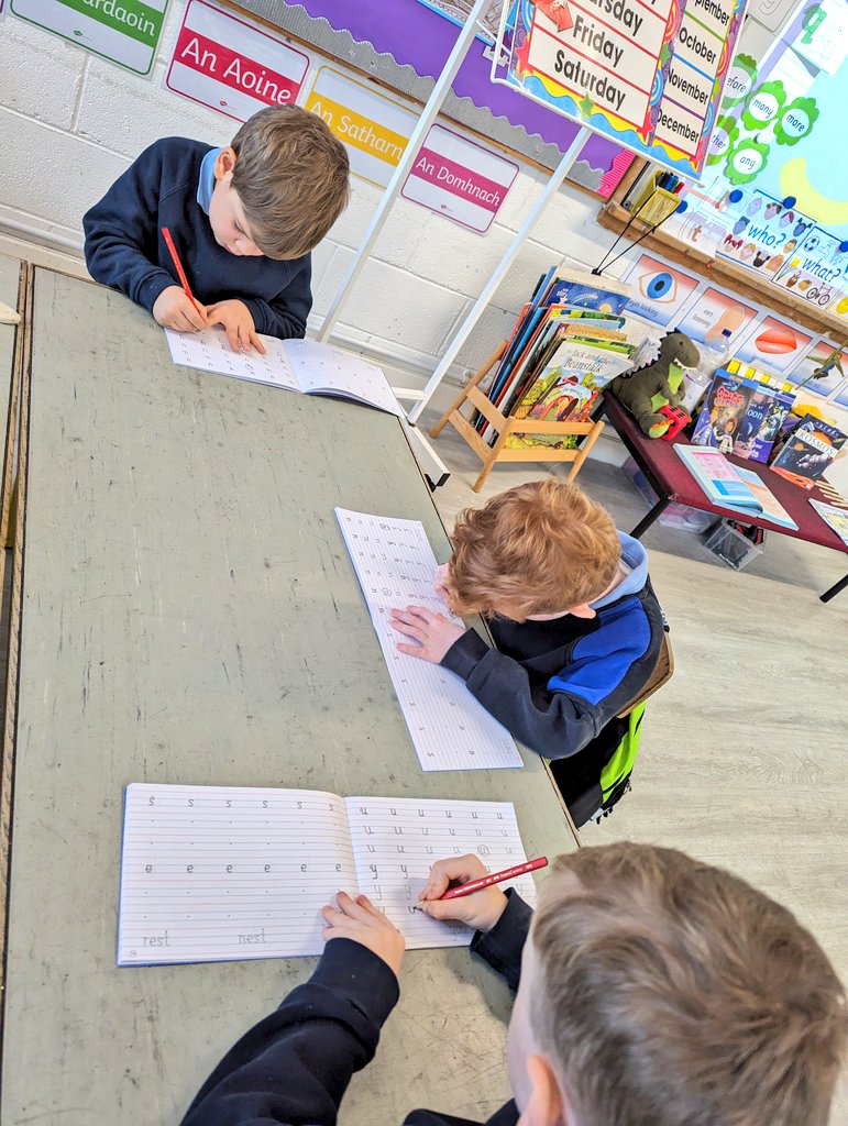 Sandra Hynes tweet media