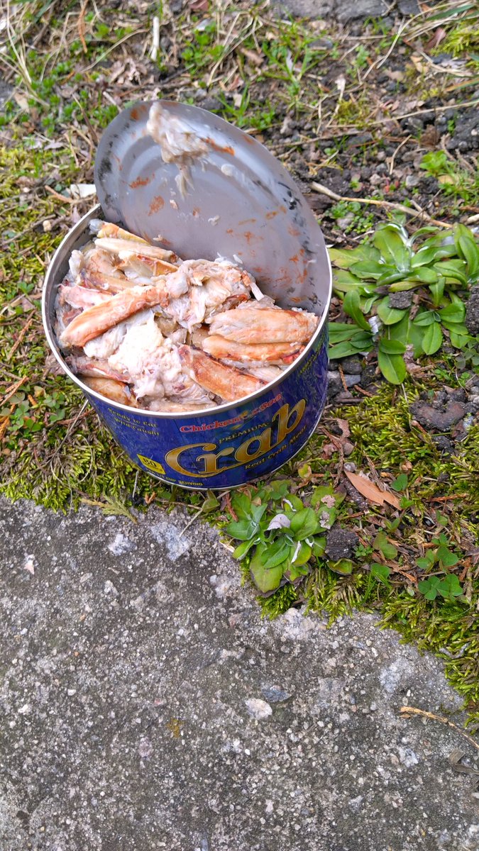 John The Likeable@tritter tweet media