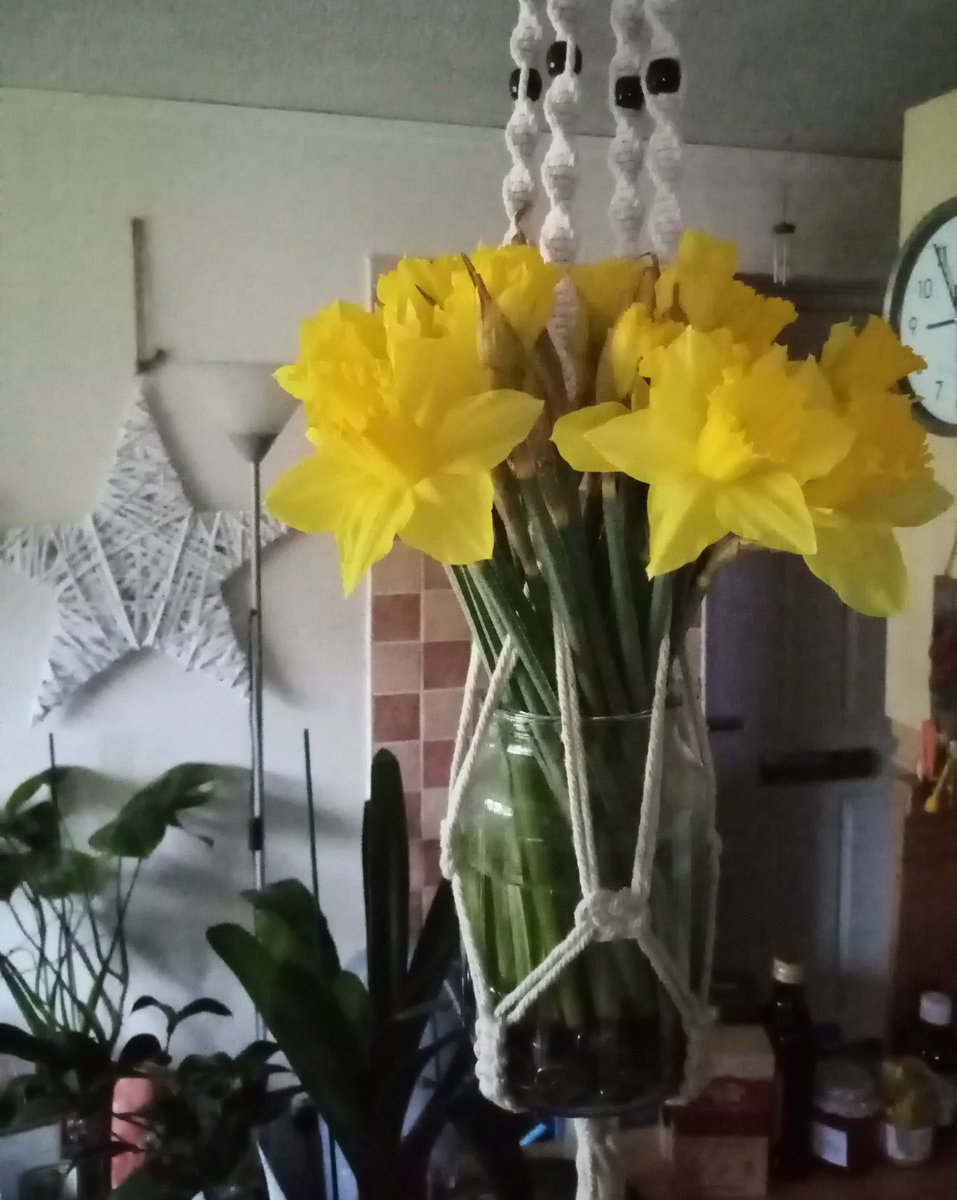 P5ych1cPoet's tweet image. Hanging rope plant holder (all garden centres sell), a random large glass jar (think it was a candle), added glass beads, got yourself a hanging arrangement for cut flowers.
#RandomIdeas #homedecor #Flowers #Decorative