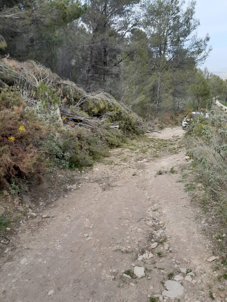 Plan_INFOCA's tweet photo. OTRAS INTERVENCIONES |  Trabajos forestales de eliminacion de árboles derribados por viento durante esta semana, en el grupo de montes públicos Cerro de Santa Catalina y el Neveral, término municipal de #Jaén. Despejamos vías forestales, velando por tu #Seguridad
#ServicioPúblico https://t.co/xYWiIf5Syi