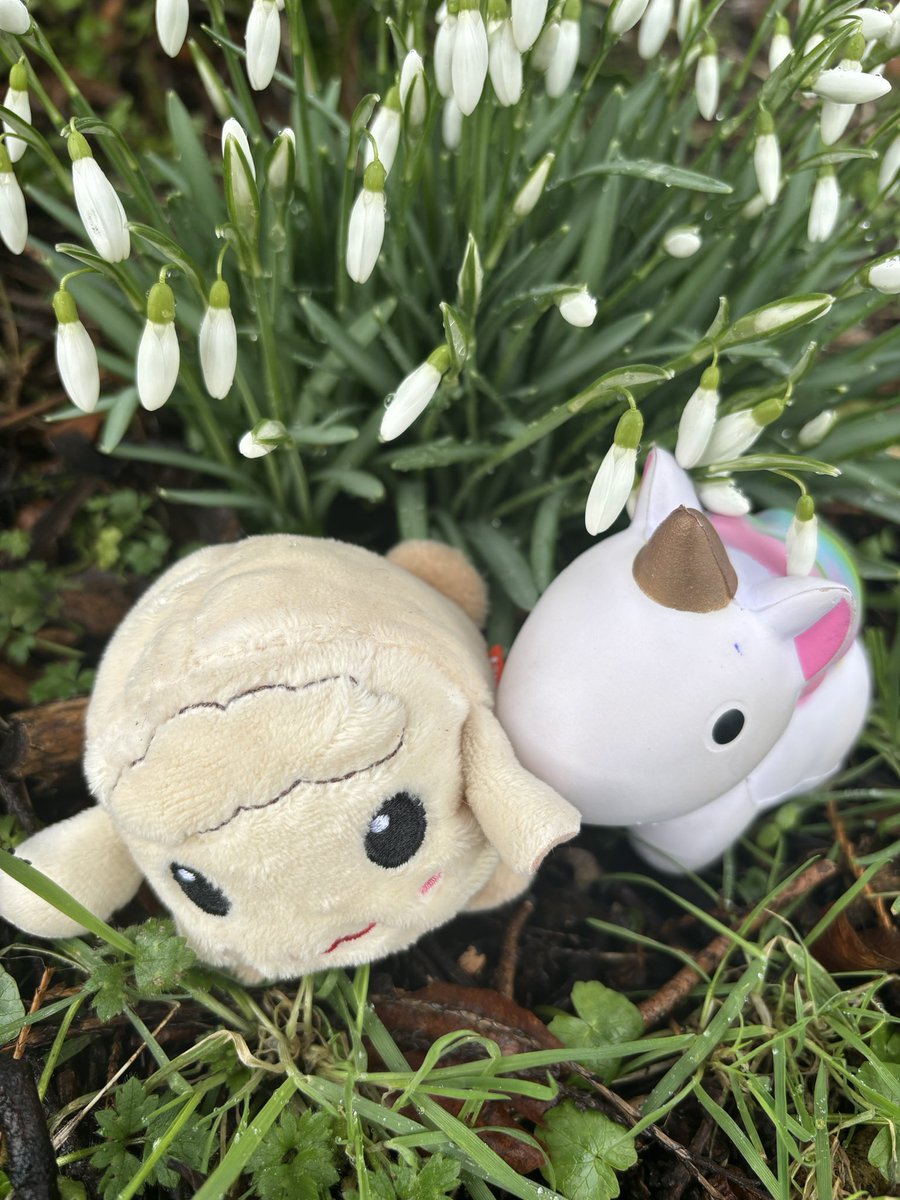 Floofycorn tweet media