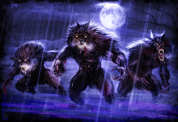 lundapur's tweet photo. It's cuz of the #wolfmovement https://t.co/5oU71TwQHm