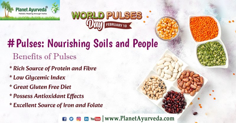 World Pulses Day - February 10
#WorldPulsesDay #WorldPulsesDay2024 #Pulses #BenefitsOfPulses #RichSourceOfProtein #Legumes #Beans #Lentils #Chickpeas #SustainableAgriculture #Nutrition #FoodSecurity #PlantBasedProtein #SourceOfIron #HealthyDiets #GlutenFreeDiet