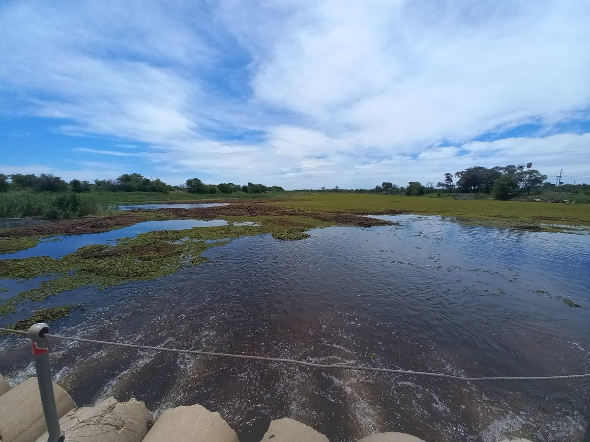 RiaanBezuiden11's tweet image. Mogol
#Ellisras