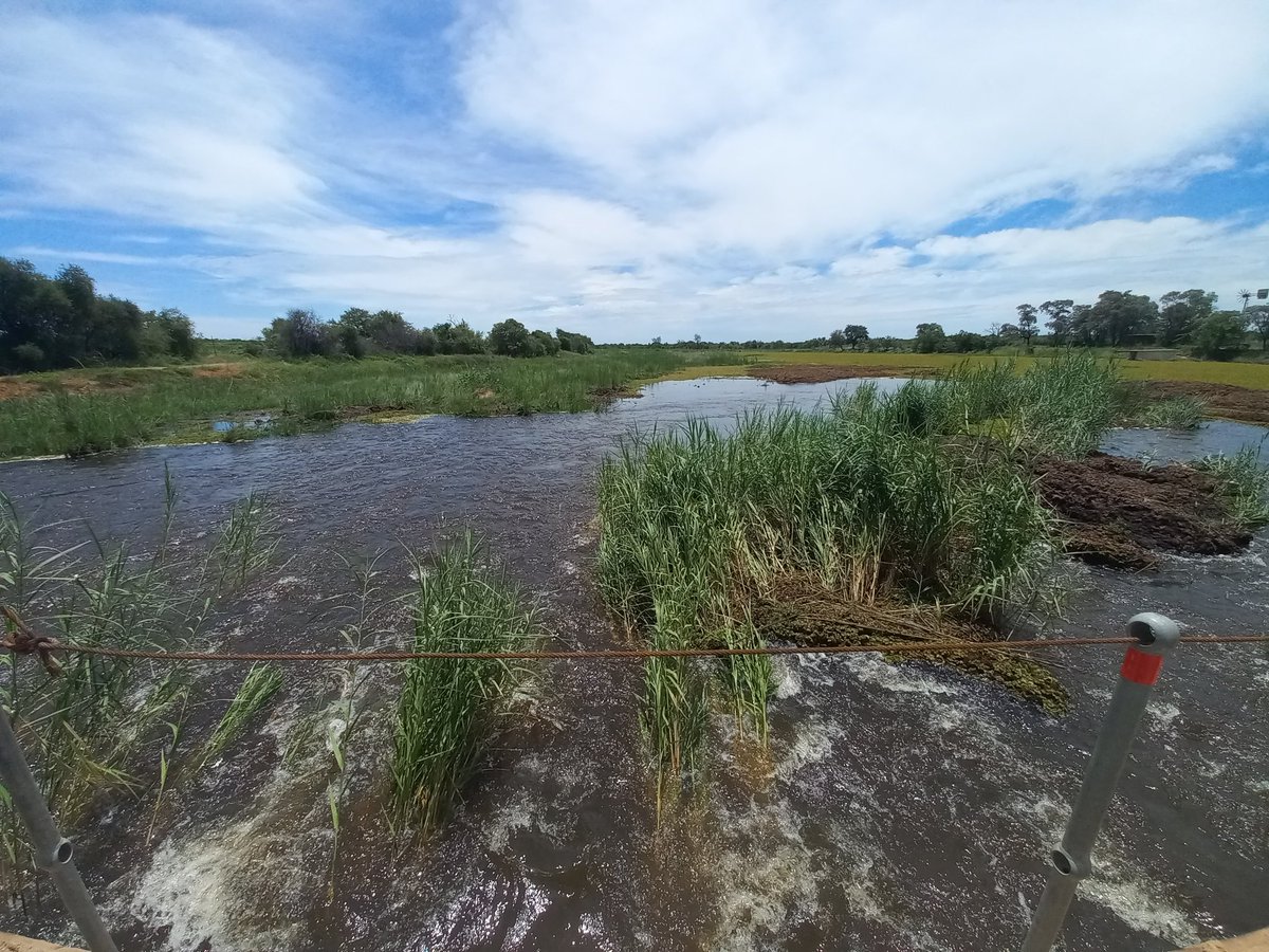 RiaanBezuiden11's tweet image. Mogol
#Ellisras