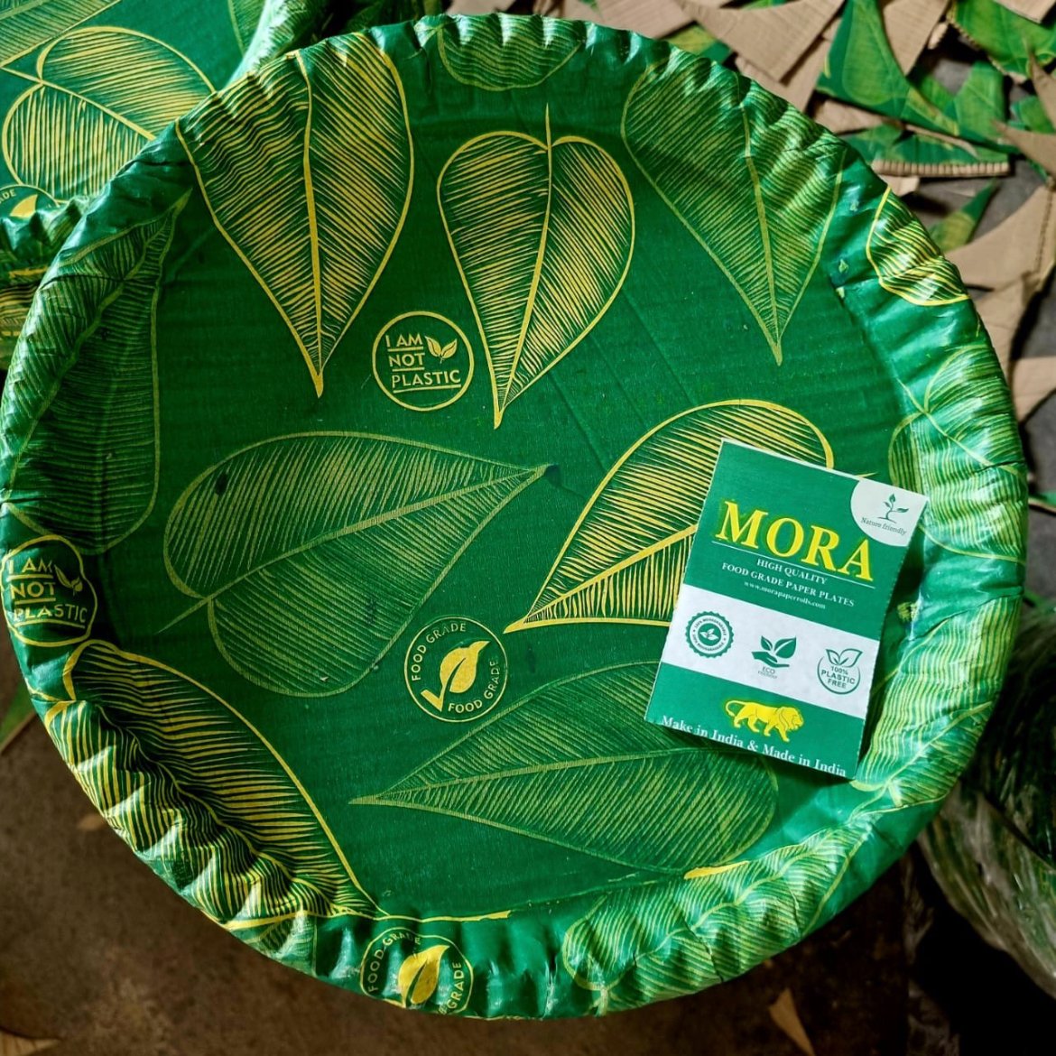 Mora Paper Plates (@morapaper) / Posts / X