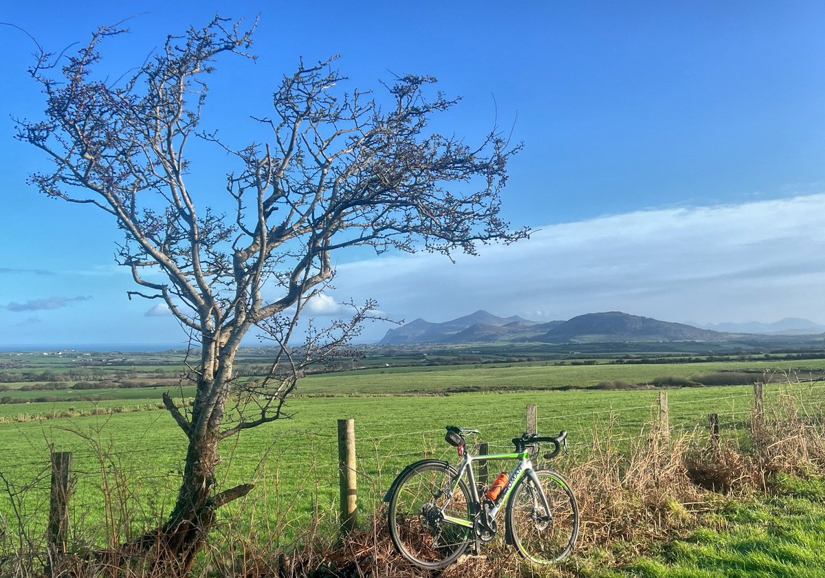 Simon Kidwell tweet media