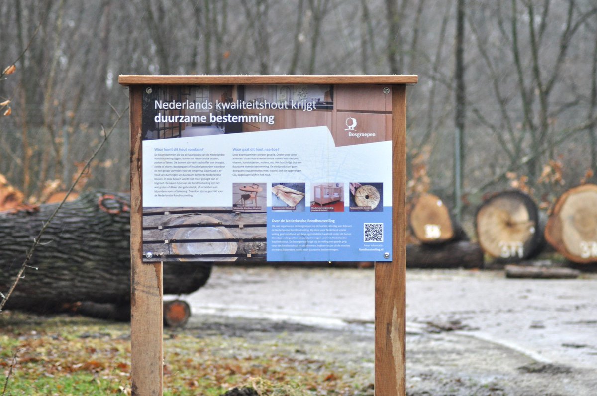 De kavelplaats van de Nederlandse #Rondhoutveiling is weer open voor bezichtiging. De veiling (hybride) is op 24 februari in de aula van <a href="/Yuverta_scholen/">Yuverta</a> Velp. Er gaan 380 kavels rondhout van bovengemiddelde kwaliteit onder de hamer; ruim 788 kuub #hout.
bosgroepen.nl/nieuws/nederla…