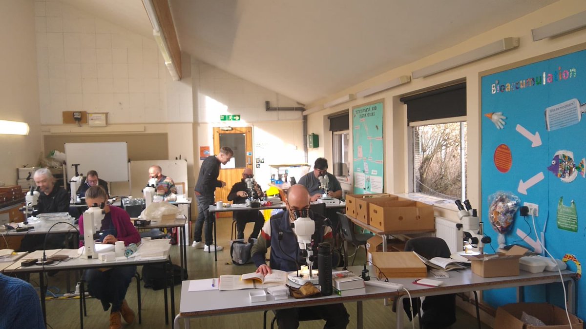 ‘ Everyone is very quiet and concentrating’ - you could hear a micro-pin drop… The Tachinidae Identification workshop at @PrestonMontford - excellent tutelage by @ChrisRaper & Matt Smith