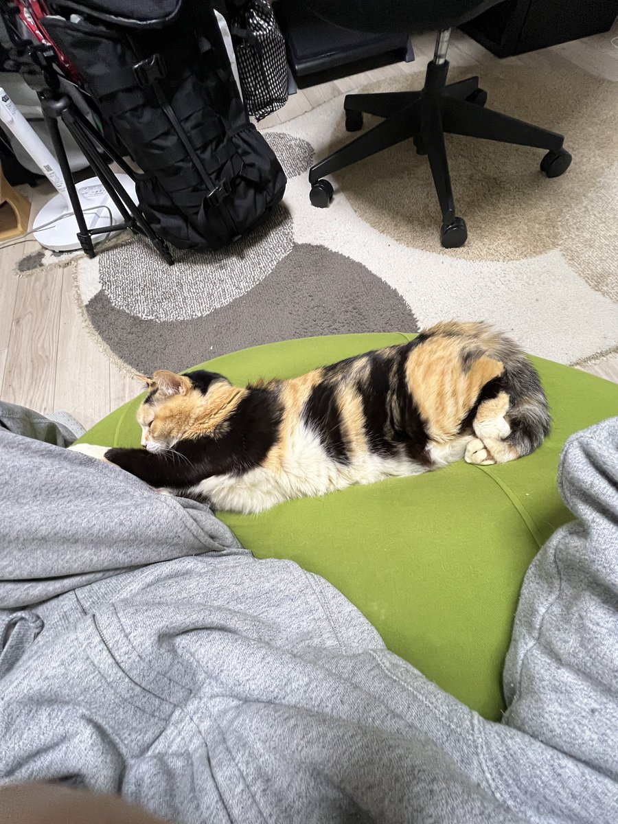 nekoview's tweet photo. 👈後から座られ窮屈になる

👉結果こうなる

 #猫と飼い主が取り合うヨギボー https://t.co/GSfbnzXuYt