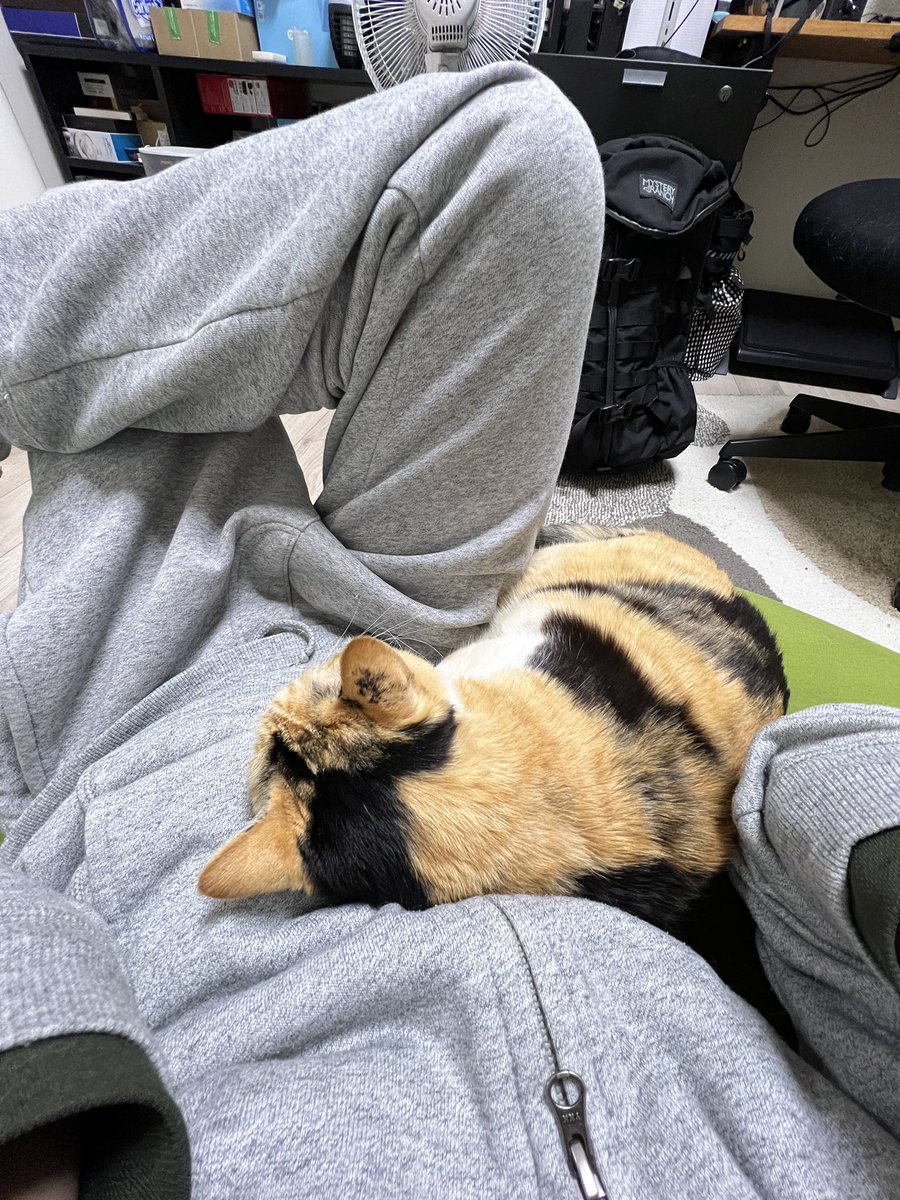 nekoview's tweet photo. 👈後から座られ窮屈になる

👉結果こうなる

 #猫と飼い主が取り合うヨギボー https://t.co/GSfbnzXuYt
