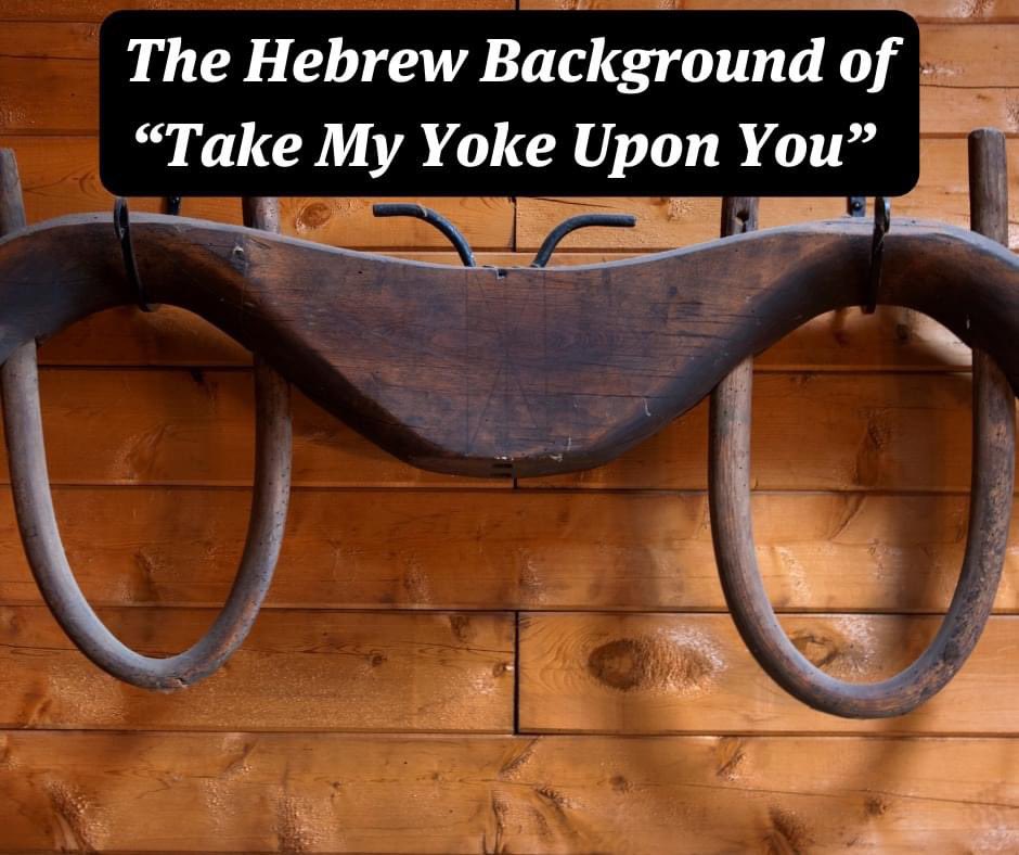 birdchadlouis's tweet photo. The Hebrew Background of “Take My Yoke Upon You” 

The Hebrew word for “yoke” is עֹל (ʿōl). This wooden crosspiece on the neck of oxen for pulling or plowing is a common Old Testament metaphor for human bondage or hard labor.

For example, God broke Israel’s yoke of slavery in Egypt (Lev. 26:13). Jeremiah acted out Judah’s coming thralldom to Babylon by wearing a yoke (27:1–28:17). In one of the chapters we read today in “Bible in One Year” (https://t.co/XxNvEtNH7e ), God says that Babylon made their “yoke exceedingly heavy” even upon the elderly (Isa. 47:6).

Bearing a yoke was therefore largely a negative image, like today we speak of “bearing a heavy burden” or “carrying a heavy load.” Or we say, “He’s got a lot on his shoulders.” 

Around the time of the 1st century, some rabbis spoke positively of a yoke. They described living according to the laws of the Torah as taking on “the yoke of the kingdom of heaven.”

Jesus the Messiah came as both a yoke-breaker and a yoke-lightener.

Isaiah says he will break “the yoke of [Israel’s] burden” (9:4). To those who labor and are heavy laden, he says, “Take my yoke upon you, and learn from me, for I am gentle and lowly in heart, and you will find rest for your souls. For my yoke is easy and my burden is light” (Matt. 11:28–30).

To wear the yoke of Jesus is to serve in freedom; in freedom to rest; and in rest to find peace under this gracious King. Place on us, Lord Jesus, your light yoke of freedom that we may joyfully serve you.