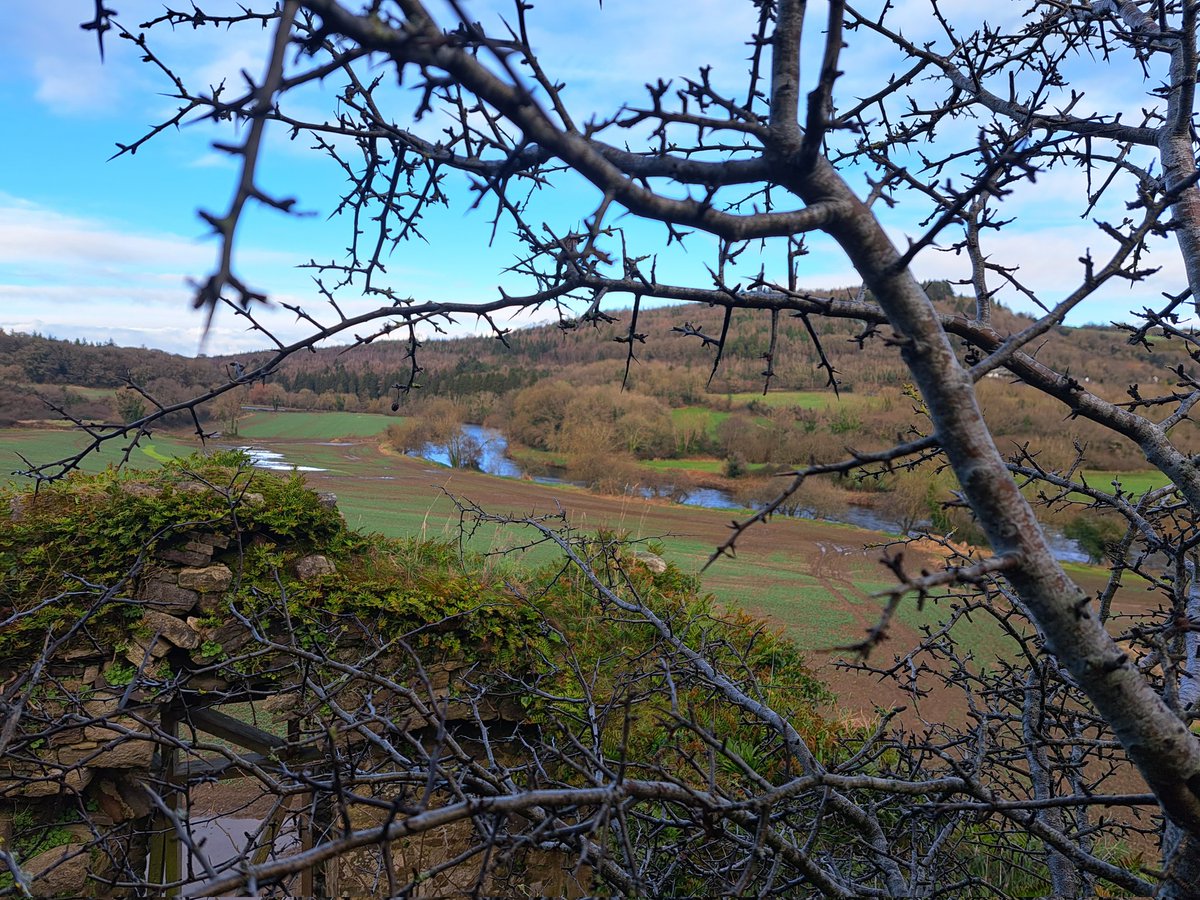 We are hiring - Project Officer norevision.ie/we-are-hiring-…