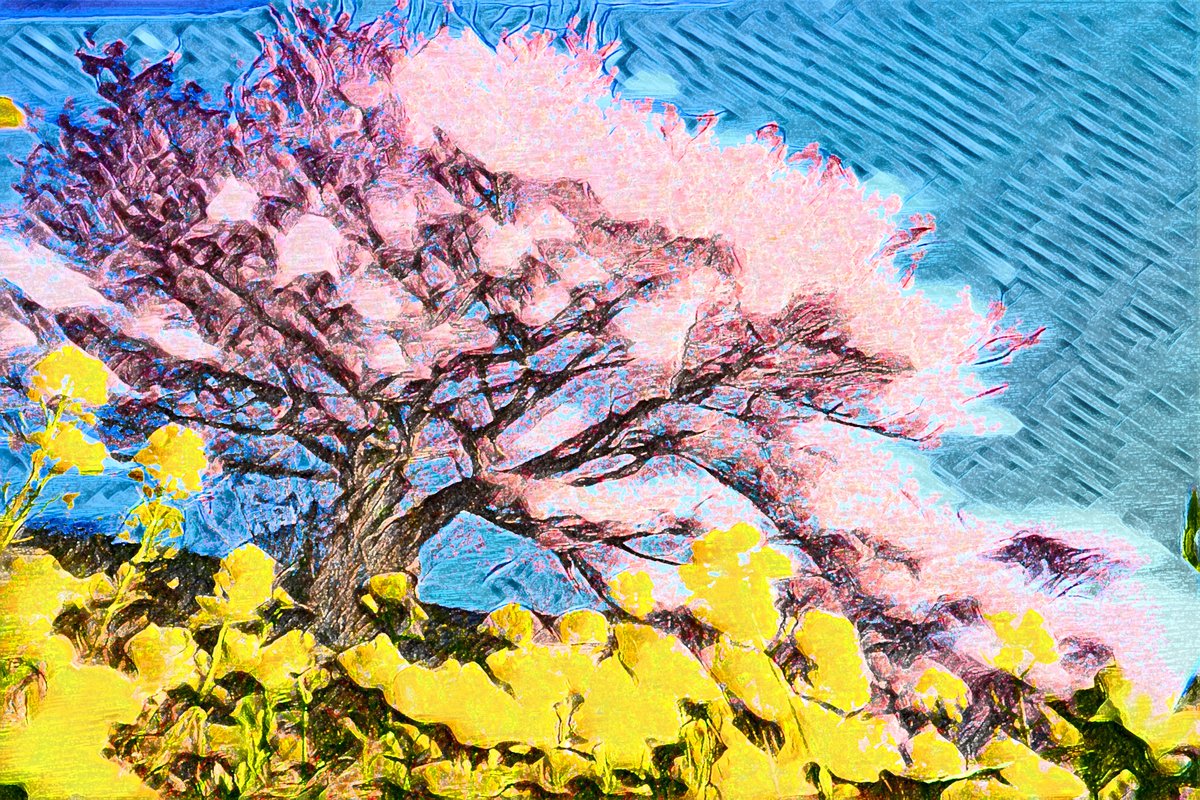 河津桜の西洋画の技法を取り入れたデジタルアートを製作しました。伊豆の河津町ではまさに河津桜が見ごろ迎えつつあります。皆さんはどの桜が好きですか？
＃河津桜　＃degitalart