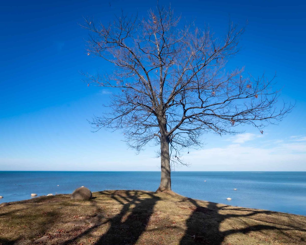 It is February, Lets go to the Beach 😀😀 #LakeHuron #tree #naturelovers #NaturePhotograhpy #NatureBeauty #ThamesCentrePhotographer #OntarioPhotographer