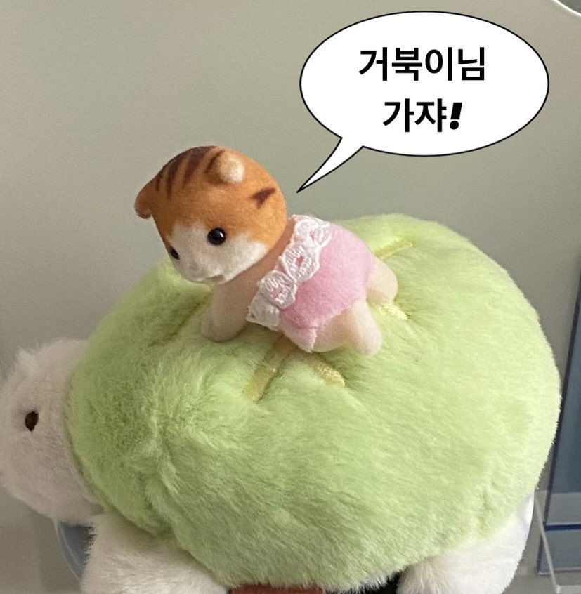 hryuryustar's tweet photo. 거북이님 가쟈! 🍈🍀 https://t.co/HpyJrDABLK
