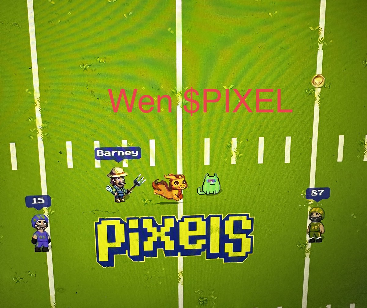 crypto_pat97's tweet photo. Wow nice pitch! Wen $PIXEL @pixels_online #wenpixel https://t.co/USmgF8LtEW