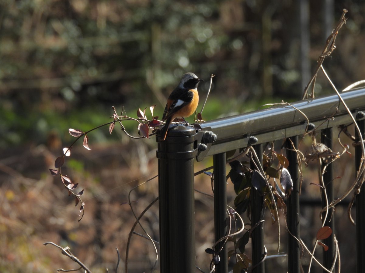 Nikonの最新のコンパクトカメラ（？）をゲットした！
グリップを握ってみて、確かに用途を考えるとコンパクトな仕上がりになっていることがわかる！
ちなみにNikonのコンパクトデジカメのラインアップは現状これだけなんだね。ふむふむ。コンパクトとは。