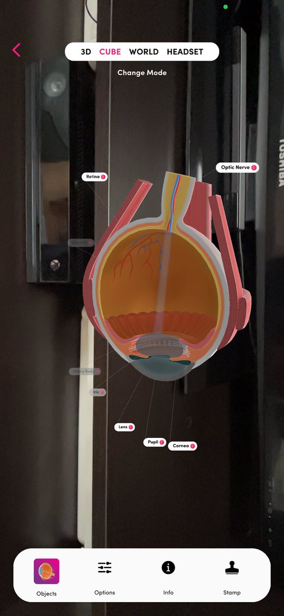 When the conversation around the meal table turns from cells to anatomy and an eye care professional spends ages taking about the eye using @mergeedu - first time they had seen @MergeVR and were seriously impressed! #AREdu #mergecube #edtech