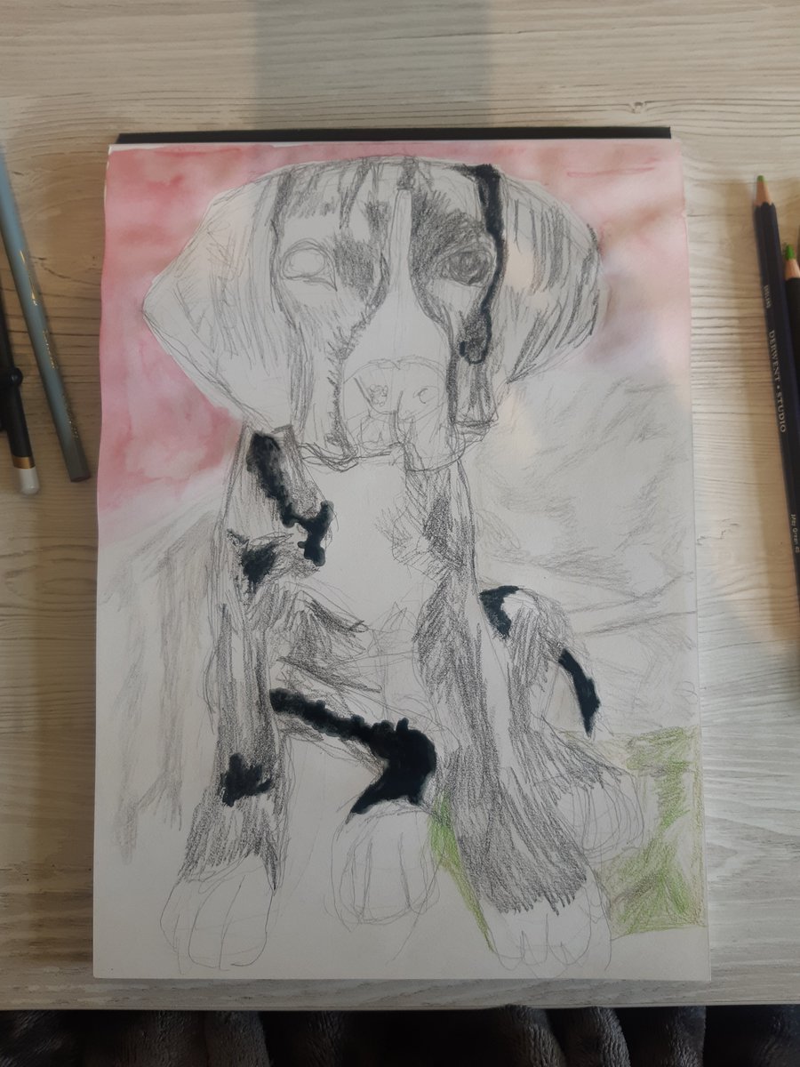 ColouredPet's tweet photo. ⚱🐕 I've spent the morning starting on a 🐾#GreatDane who's sadly lost their life 😔. 

💝 If your friend's pet has passed away consider giving them some comfort to cheer them up with a special memorial gift they will cherish forever👉https://t.co/zoUVUIK8Vb #greatdanedrawing https://t.co/YTltOZT3eF