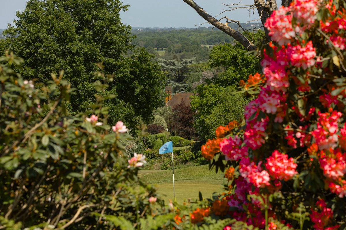 ⛳️ Happy Lunar New Year from Moor Park! 🎊 Wishing all our members and followers a year filled with prosperity, joy, and plenty of birdies! #lunarnewyear #MoorPark #Golf