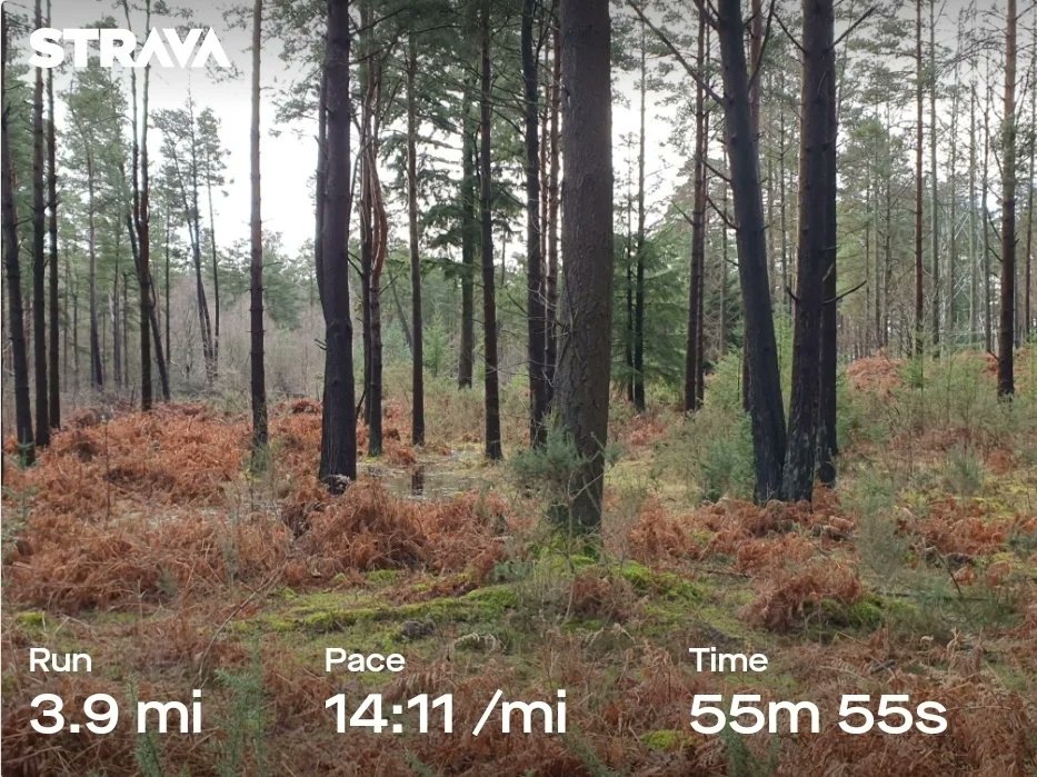 ZhepzyMudRunner's tweet image. Day 10/29 pancreatic cancer fundraiser for Katie ❤️

I thought I&apos;d walk because of a black tie do tonight, but got bored 😆

justgiving.com/page/east-hant…

#TWC #TwittaWinterChallenge #SonicWinterSprinters