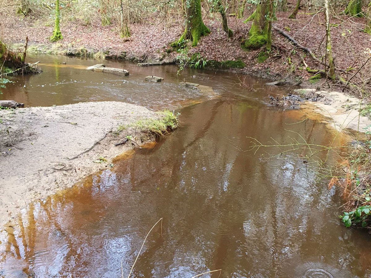 ZhepzyMudRunner's tweet image. Day 10/29 pancreatic cancer fundraiser for Katie ❤️

I thought I&apos;d walk because of a black tie do tonight, but got bored 😆

justgiving.com/page/east-hant…

#TWC #TwittaWinterChallenge #SonicWinterSprinters