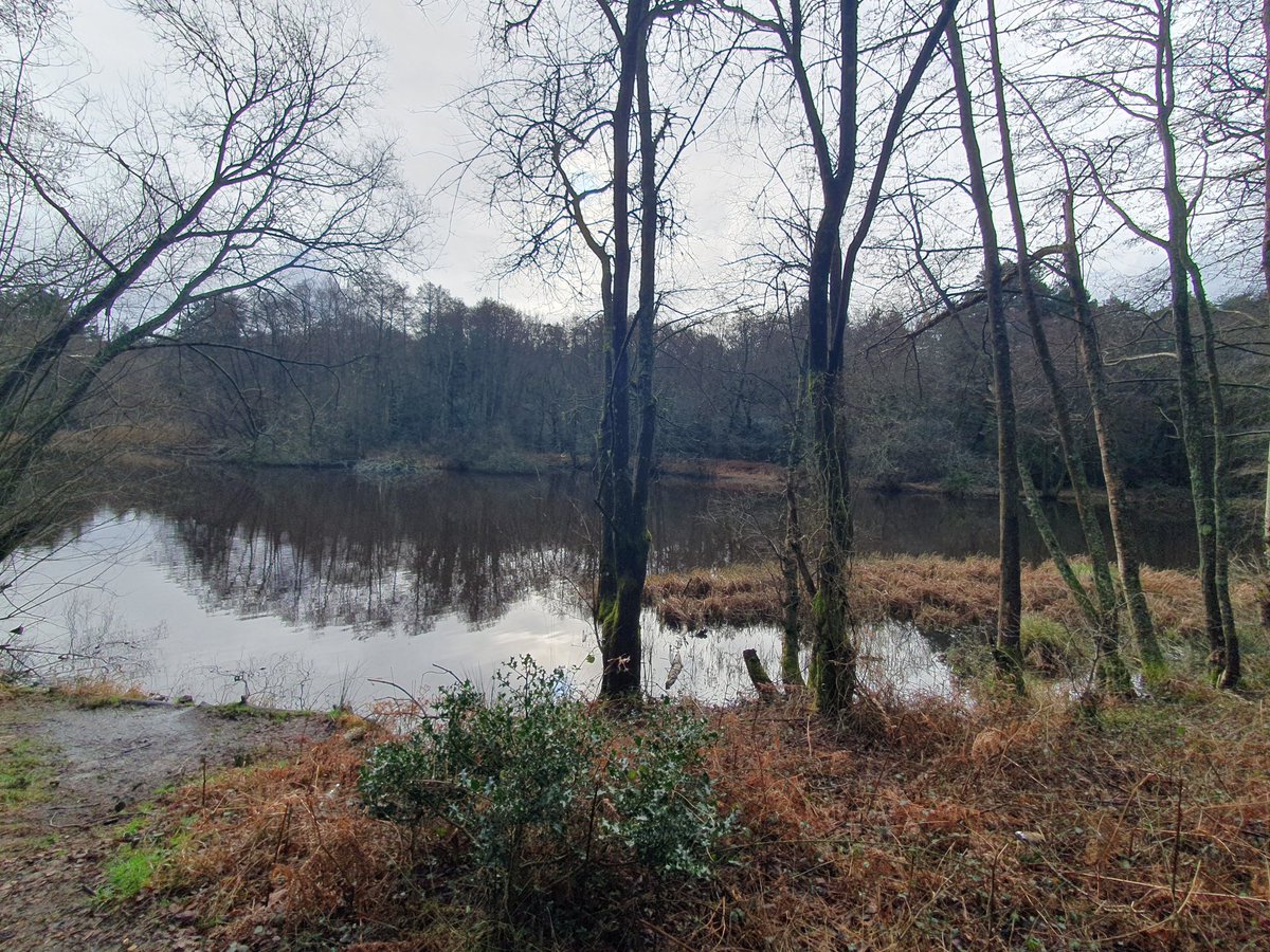 ZhepzyMudRunner's tweet image. Day 10/29 pancreatic cancer fundraiser for Katie ❤️

I thought I&apos;d walk because of a black tie do tonight, but got bored 😆

justgiving.com/page/east-hant…

#TWC #TwittaWinterChallenge #SonicWinterSprinters