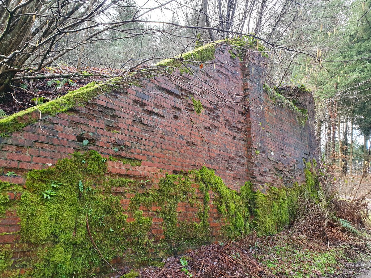 ZhepzyMudRunner's tweet image. Day 10/29 pancreatic cancer fundraiser for Katie ❤️

I thought I&apos;d walk because of a black tie do tonight, but got bored 😆

justgiving.com/page/east-hant…

#TWC #TwittaWinterChallenge #SonicWinterSprinters