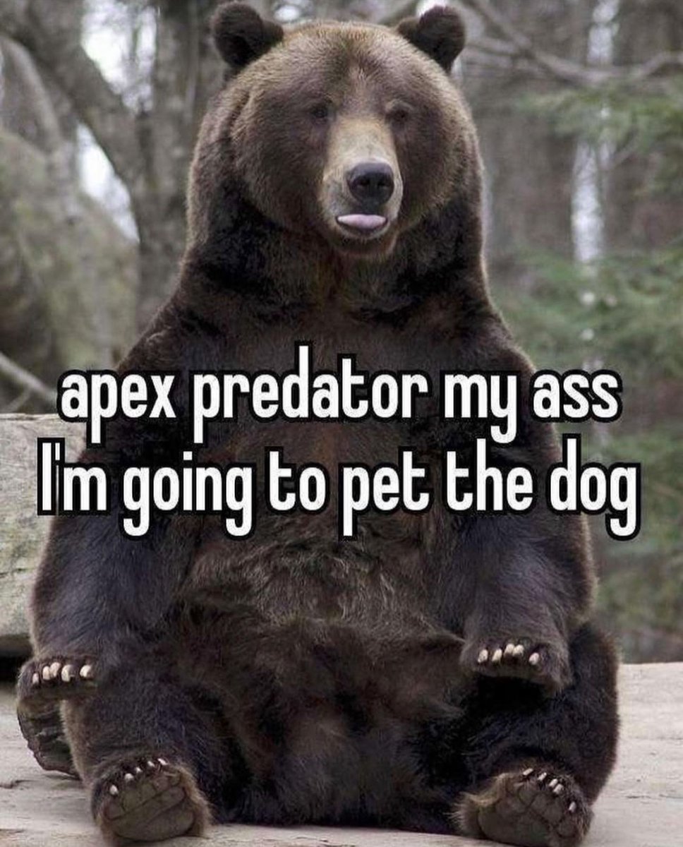 nocontextmemes's tweet image. 