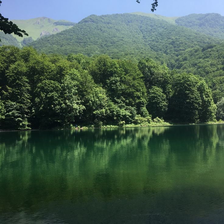 𝕵𝖆𝖓𝖊 tweet media