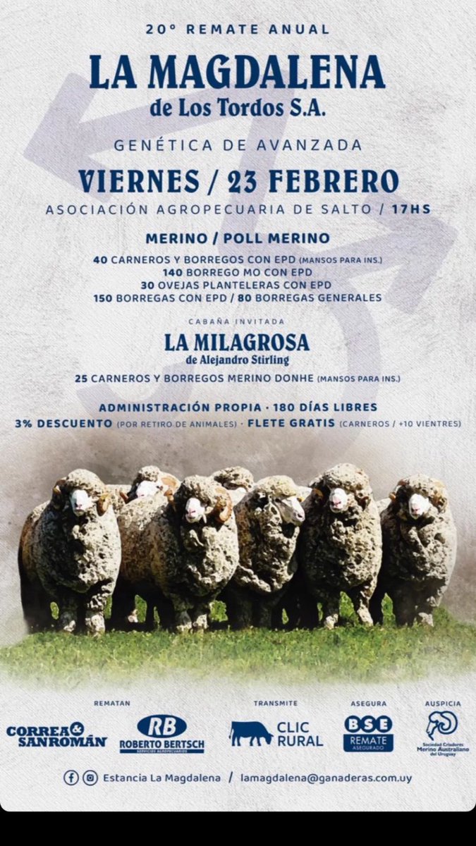 Federico Stirling tweet media