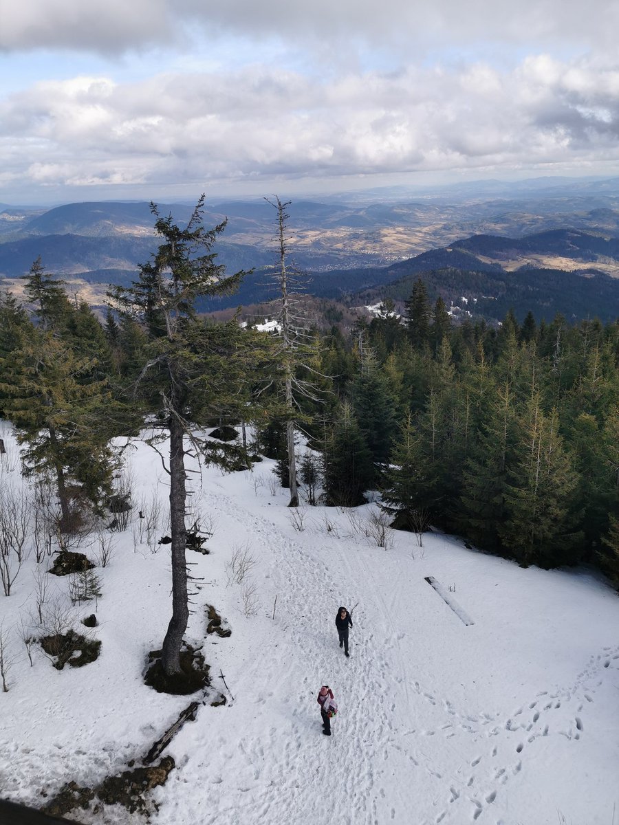 GorBurzan's tweet image. #Gorc #Gorce #Poland #zima