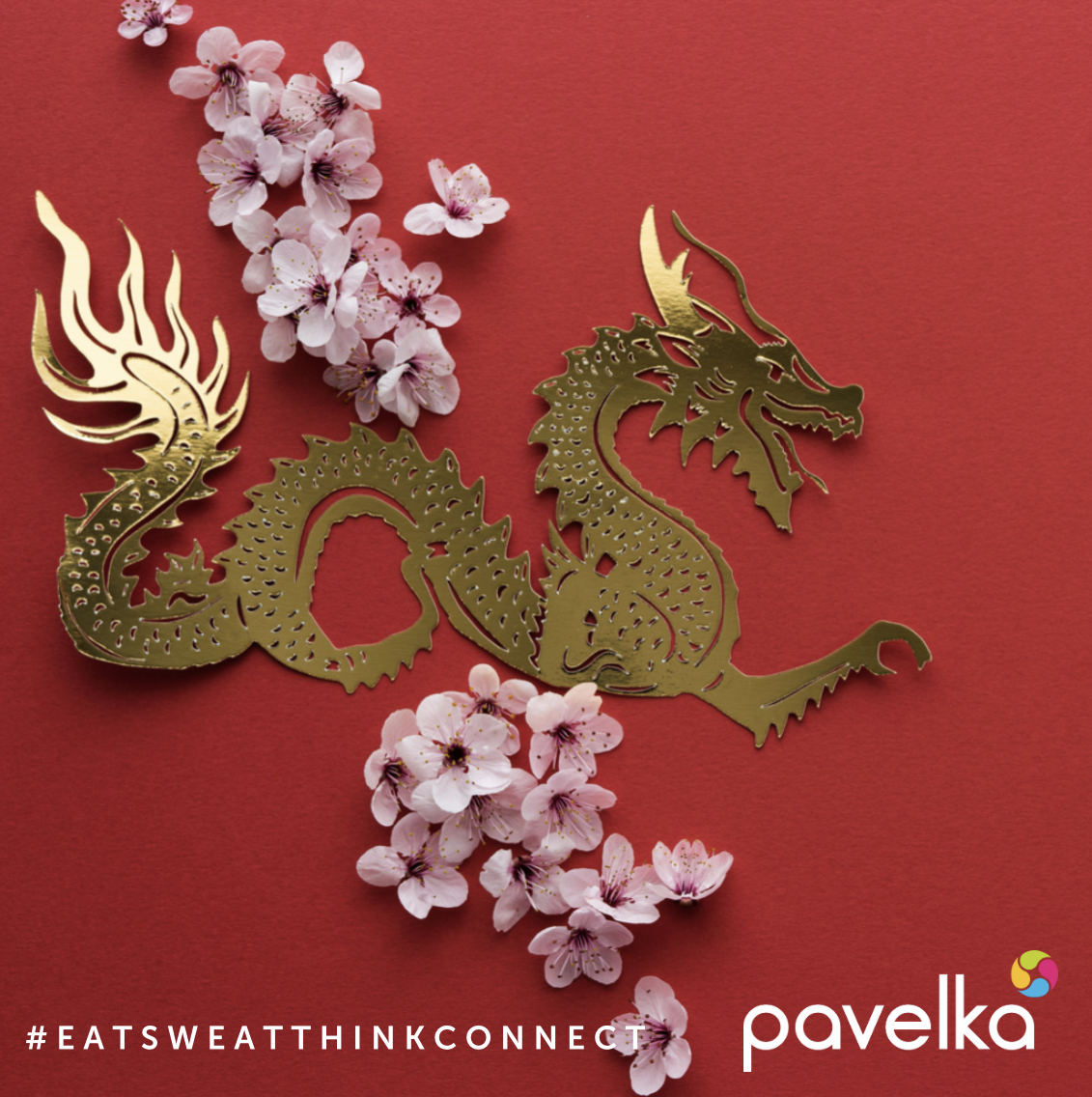 From all of us at Pavelka in our Singapore office 🎉 Happy Lunar New Year! 🐲 Wishing you joy, prosperity, and good fortune in the Year of the Dragon. May this new lunar cycle bring you abundant blessings and memorable moments with family and friends. #YearOfTheDragon 🐉🏮