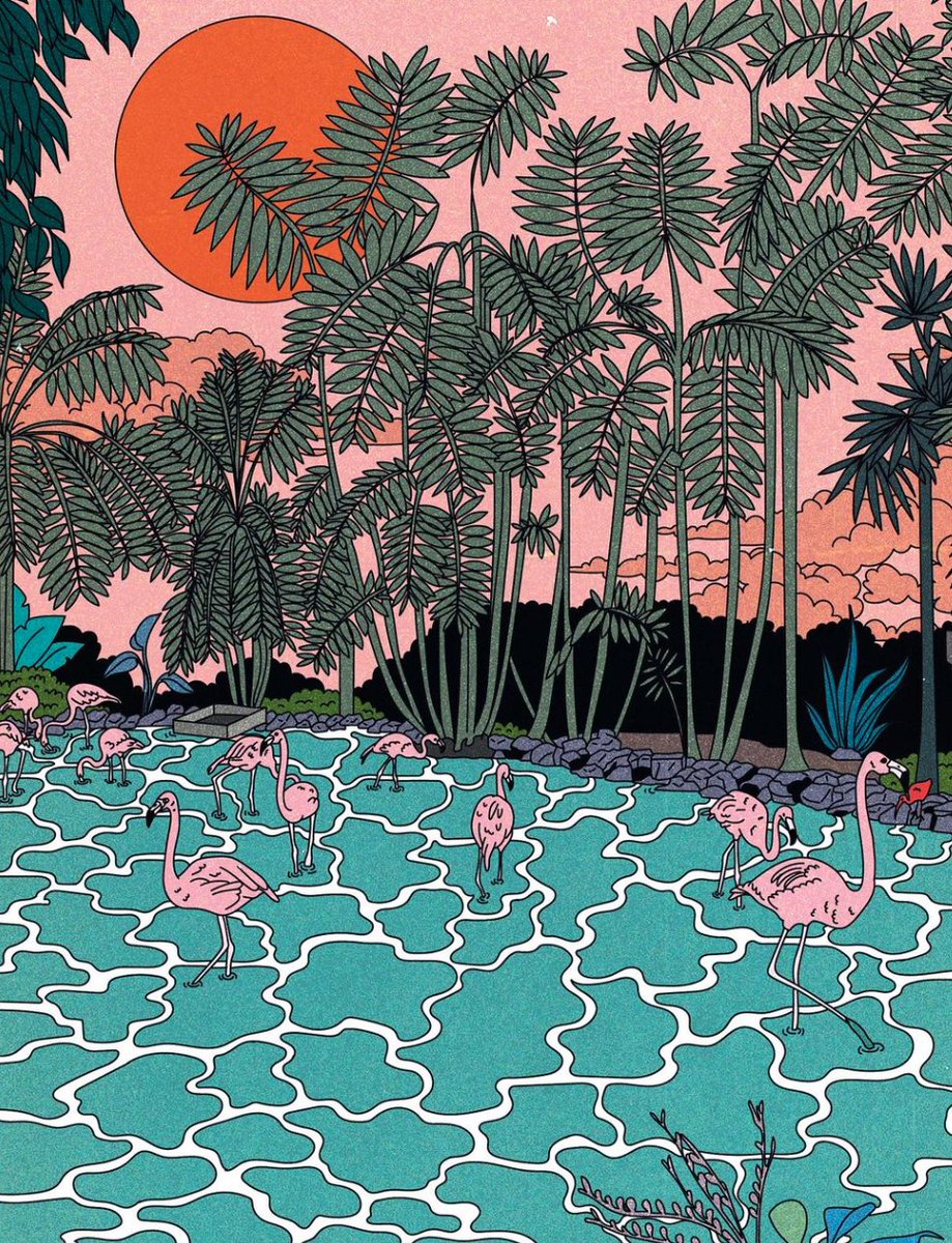 Cosmo Danchin-Hamard 🎱✨ tweet media