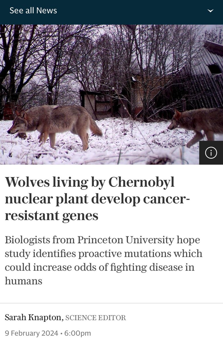 So, apparently, wolves living near Chernobyl have evolved genes resistant to cancer.