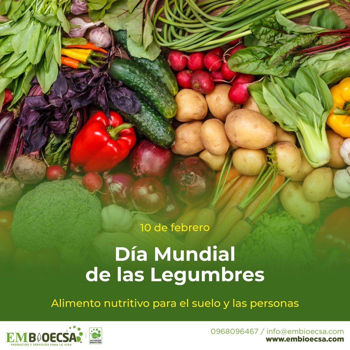 embioecsa's tweet photo. 10 de Febrero | Día Mundial de las Legumbres 🫑🥕🥦🍅 Alimento nutritivo para el suelo y las personas.💚

Conoce más beneficios, escríbenos ⬇️
✉️ info@embioecsa.com
📲 096 809 6467 https://t.co/y2jpmDploH