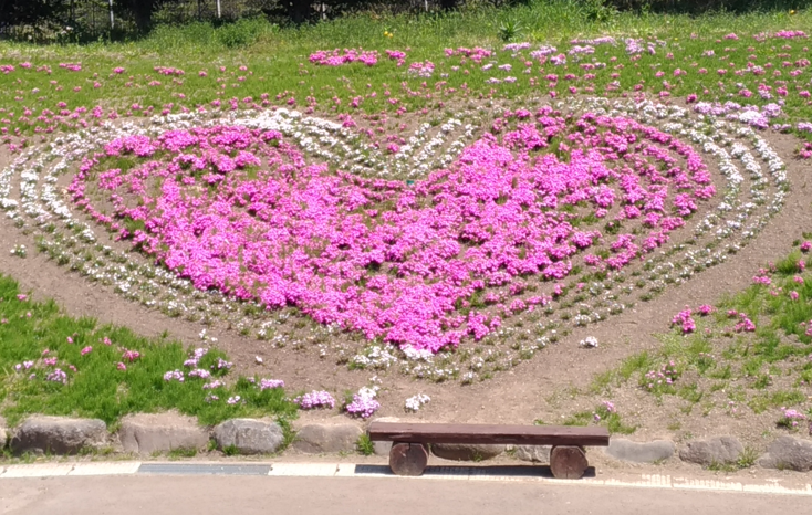 bmshanadayori's tweet photo. お待たせしました！ 

「#BMSで花便り」  本日よりインプレ期間となります！

インプレッション期間は2月24日（土）までです。

これからの成長の種にもなりますので、BMSを遊んで気になる点等がございましたらぜひ書き残していってください！ https://t.co/t45wClxPPP