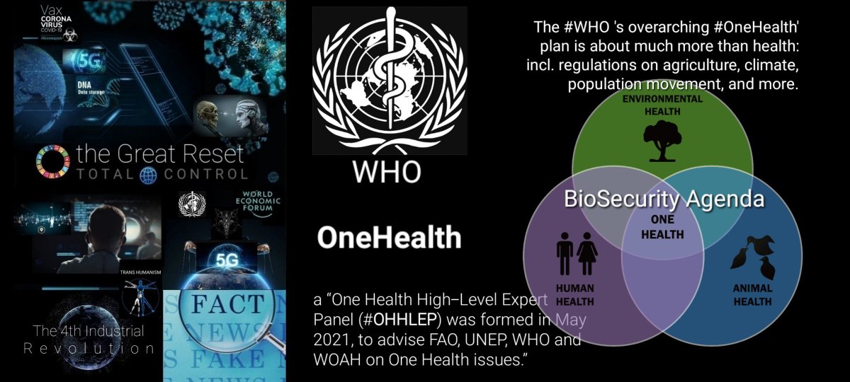 Yohmini2's tweet photo. #Laundering with #Immunity
Besides the #WEF , there are many more organizations like the #WHO , who are protected by #immunities and #privileges in Geneva, Switzerland where secrecy clings to the hallways of its headquarters overlooking Lake Geneva in Cologny.
#PascalNajadi, son of WEF co-founder #HusseinNajadi, calls for arresting #BillGates, #KlausSchwab, & leaders of #WHO, Big Tech, and Pfizer company. He says he and his mother are now dying from the vaccine, which he calls "poison".
See repost 4 the report by CoreyLynn ( follow π @CoreyDigs ) to show the protections they have and the agreements that have been signed.
The complete list of organizations can be found at " Laundering with Immunity: The Control Framework β Part 1"
π
https://t.co/DXr4jmjL5m
For those interested more info on #Whistleblower #AstridStuckelberger about #WHO
Follow π https://t.co/qOeYmGoaPf
Credentials
https://t.co/z1Myqlp4vz
&
https://t.co/LZvD65qwpn
Watch the interviews with #WHO #Whistleblower #AstridStuckelberger
π
- Introduction to a Pandemic - Planet Lockdown
π
https://t.co/4zQL5Vx2BX
Astrid Stuckelberger | WHO Corruption | Planet Lockdown
π
https://t.co/jWInAyNgDz
Astrid Stuckelberger | Global Corruption | Planet Lockdown
π
https://t.co/zKnE9yaijb