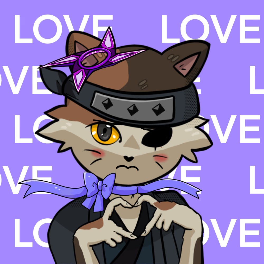 CryptoNinjaLove tweet media
